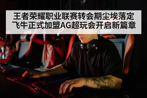 王者荣耀职业联赛转会期尘埃落定飞牛正式加盟AG超玩会开启新篇章